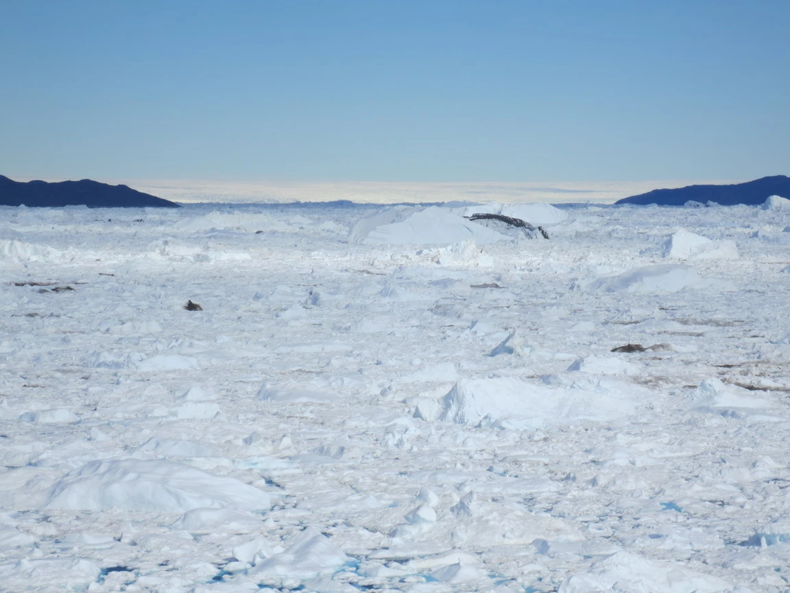 Grönland: Ilulissat und der Eisfjord images/ilulissat/4.webp