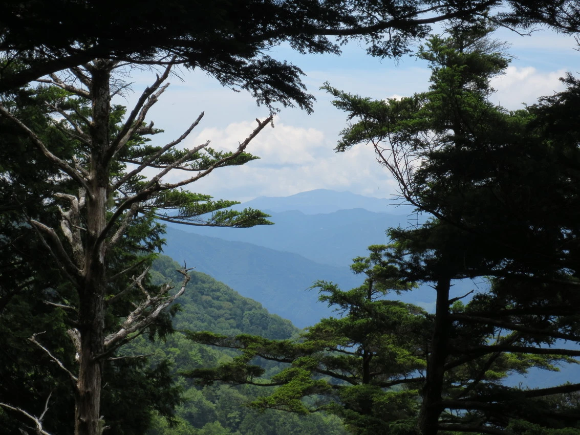 Kiso-Gebirge: Ein Ausflug in die Wolken images/kiso-sanmyaku/06.webp