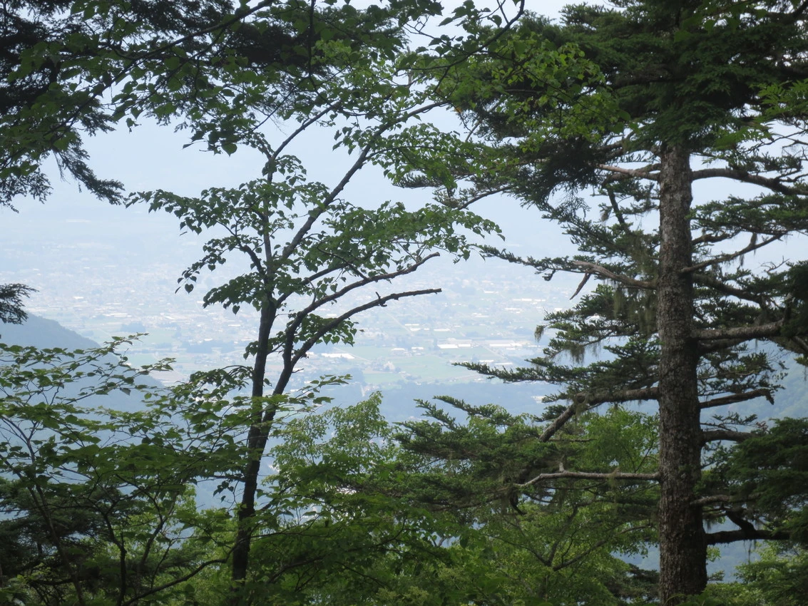 Kiso-Gebirge: Ein Ausflug in die Wolken images/kiso-sanmyaku/27.webp
