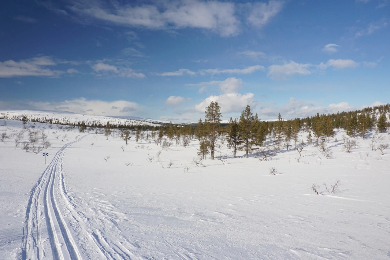 Lappland: Stille Wälder und windige Fjälls images/lapland18/02.webp