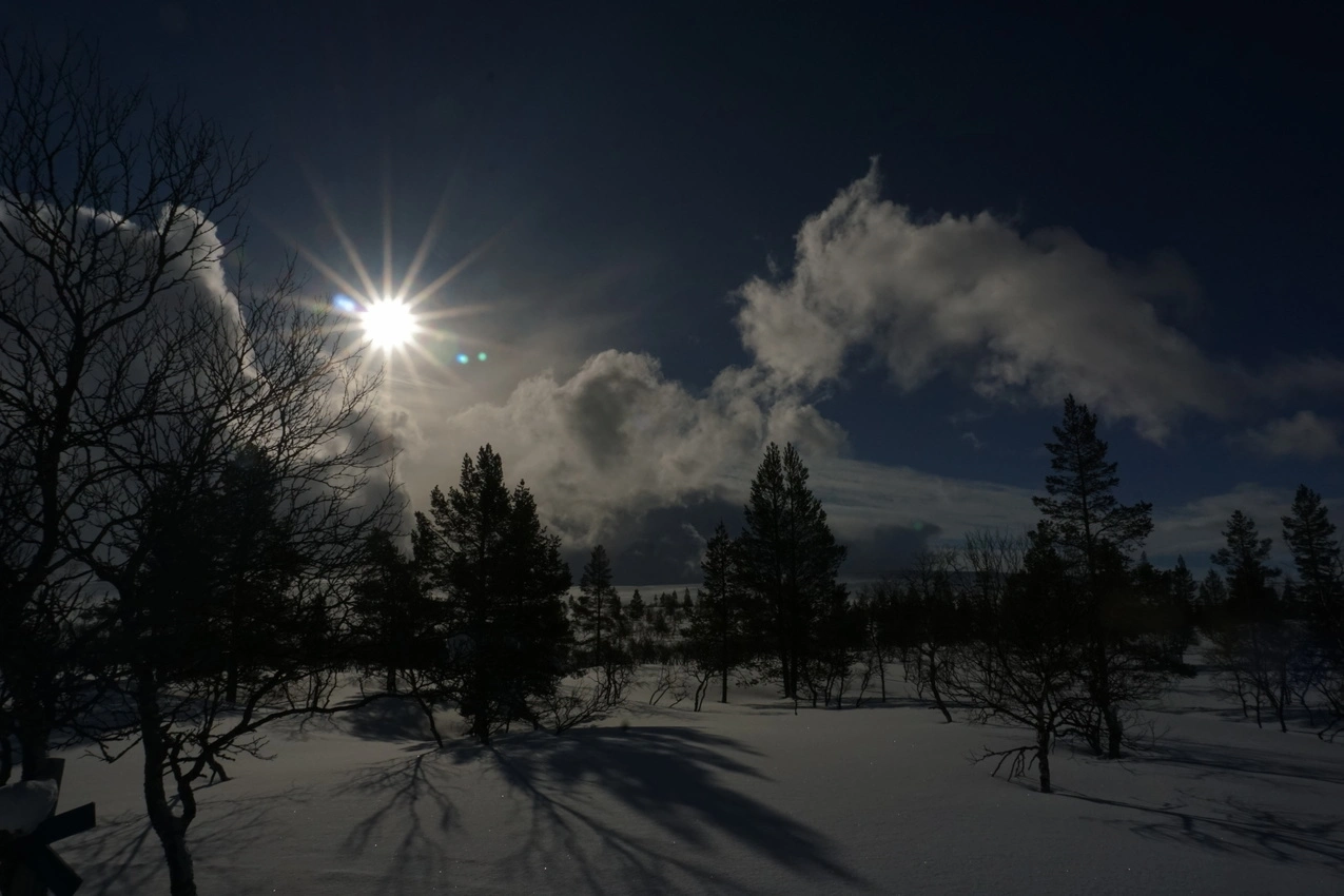 Lappland: Stille Wälder und windige Fjälls images/lapland18/04.webp