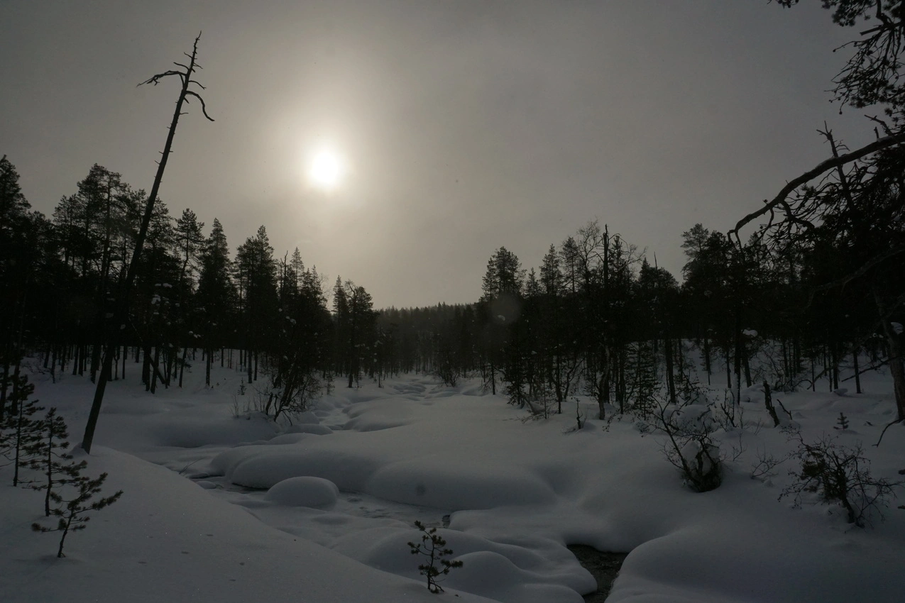 Lappland: Stille Wälder und windige Fjälls images/lapland18/06.webp