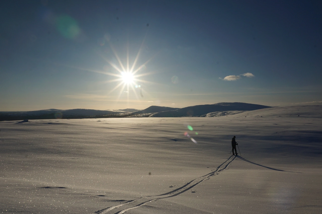 Lappland: Stille Wälder und windige Fjälls images/lapland18/11.webp