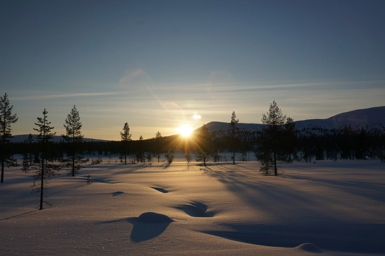 Lappland: Stille Wälder und windige Fjälls images/lapland18/12.webp