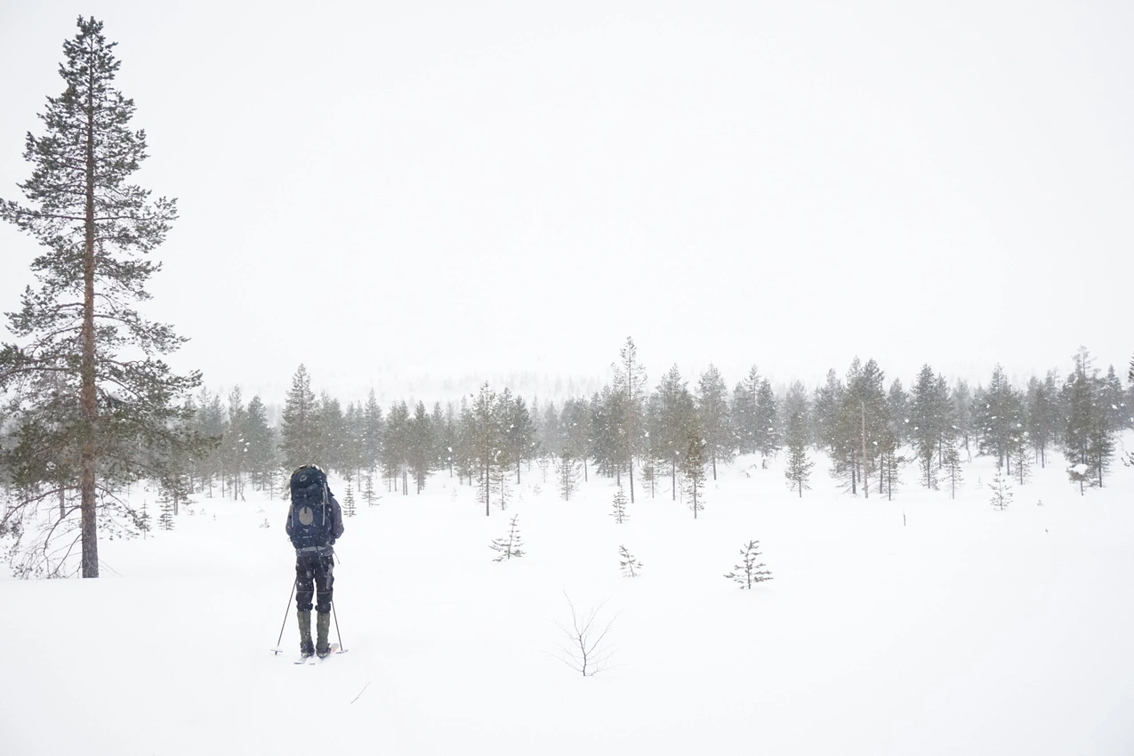 Lappland: Stille Wälder und windige Fjälls images/lapland18/14.webp
