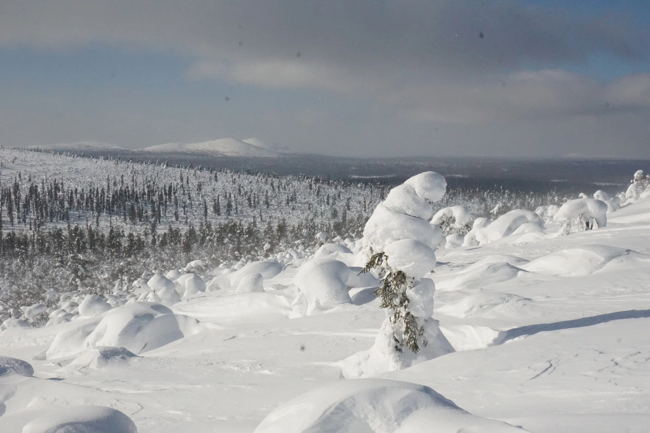 Lappland: Stille Wälder und windige Fjälls images/lapland18/15.webp