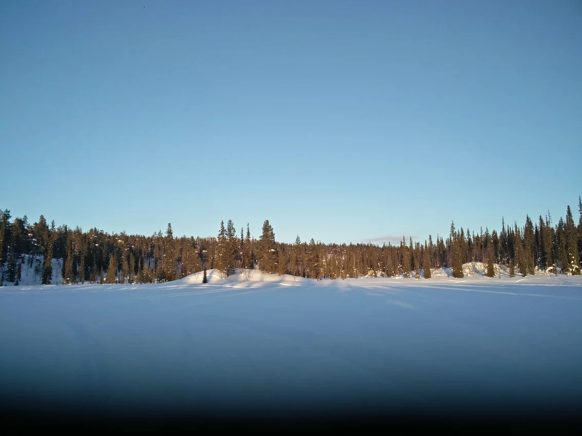 Lappland: Stille Wälder und windige Fjälls images/lapland18/17.webp
