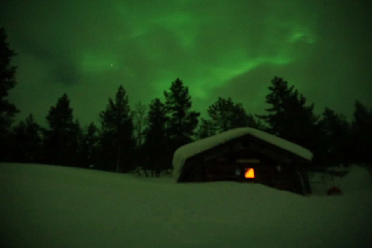 Lappland: Stille Wälder und windige Fjälls images/lapland18/19.webp