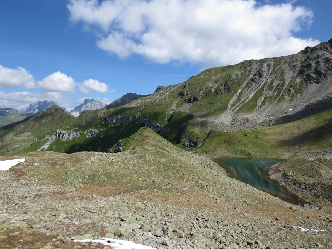 Silvretta: Alpenglöckchen mit Aussicht images/silvretta/07.webp