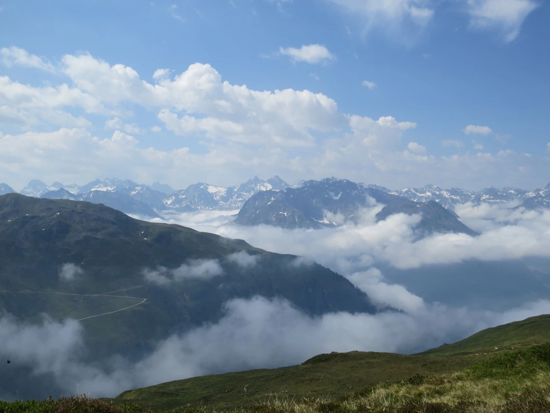 Silvretta: Alpenglöckchen mit Aussicht images/silvretta/27.webp